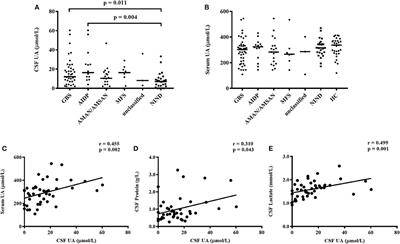 Increased Cerebrospinal Fluid Uric Acid Levels in Guillain–Barré Syndrome